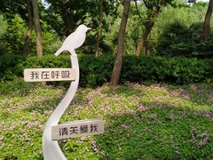 -苏州河梦清园环保主题公园