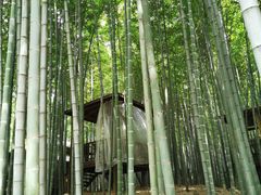 -宝岩生态观光园