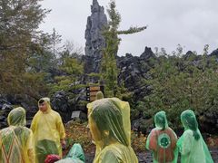 -千岛湖石林