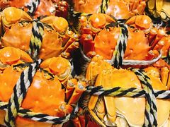 -乡乐园蟹庄·阳澄湖农家乐