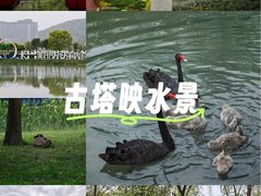 -长兴太湖图影湿地文化园