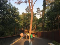 -飞凤山奥体公园