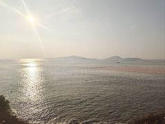 -大京沙滩