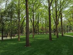 -清华大学-甲所餐厅