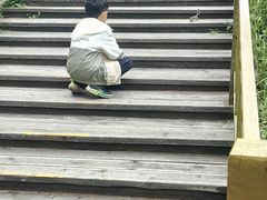 -莫尔道嘎国家森林公园