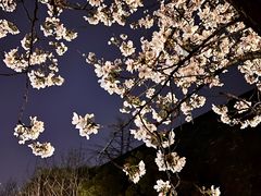 -鸡鸣寺