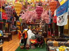 -吉祥圣雪藏餐