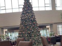 -天津海河悦榕庄·Lobby Lounge大堂吧