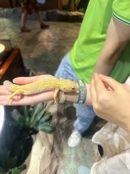 -酷嗒动物文化乐园(cutezoo西溪乐天城店)