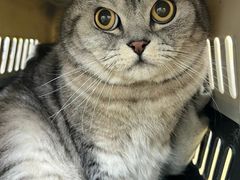 -美联众合动物医院·24h转诊中心