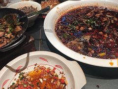 -新概念来凤鱼(璧山店)
