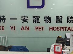 -特一安24小时宠物医院·骨科·中兽医