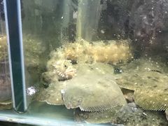 -福润海鲜馆