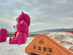 -盐湖景区