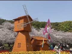 -苏州上方山国家森林公园