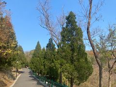 -白水寺森林公园