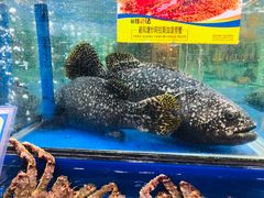 -东江海鲜酒家(艺都分店)