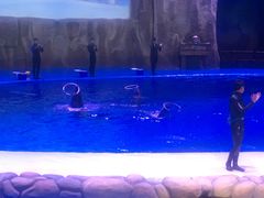 -华夏文旅海洋公园