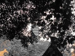 -深圳国际园林花卉博览园