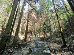 -长沙黑麋峰国家森林公园