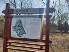 -东郊湿地公园