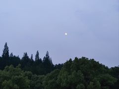 -上海怡沁园度假酒店