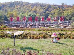 -金龙寺国家森林公园