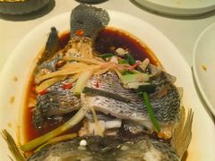 -雪熊精酿·哈尔滨烧烤酒馆(非遗大串店)