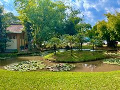 -中国科学院西双版纳热带植物园