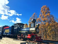 -莫尔道嘎国家森林公园