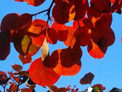 -北京西山国家森林公园