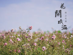 -苏州湾体育公园