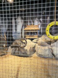 -酷嗒动物文化乐园(cutezoo西溪乐天城店)