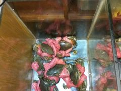 -传统香辣蟹(南园路店)