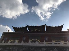 -塔尔寺-菩提树