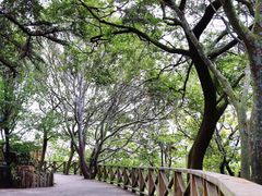 -青岛市江苏路基督教堂