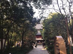 -秋霞圃