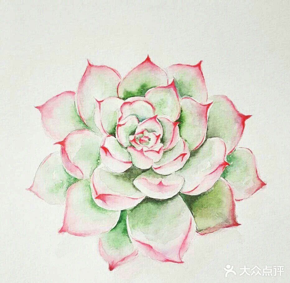 从养多肉到画多肉，生活越来越有趣啦[胜利]