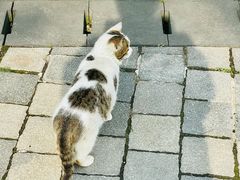 -思南公馆