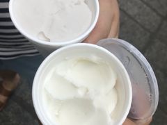 -洪馨椰子