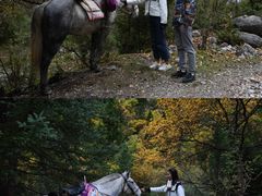 -达仓郎木寺院