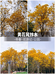 -番禺儿童公园