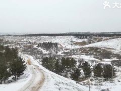-鄂尔多斯野生动物园