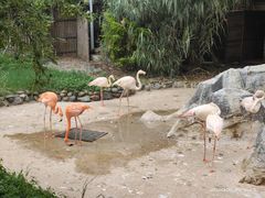 -昆明动物园