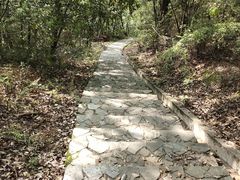 -桃花岭景区