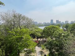 -莲花池公园