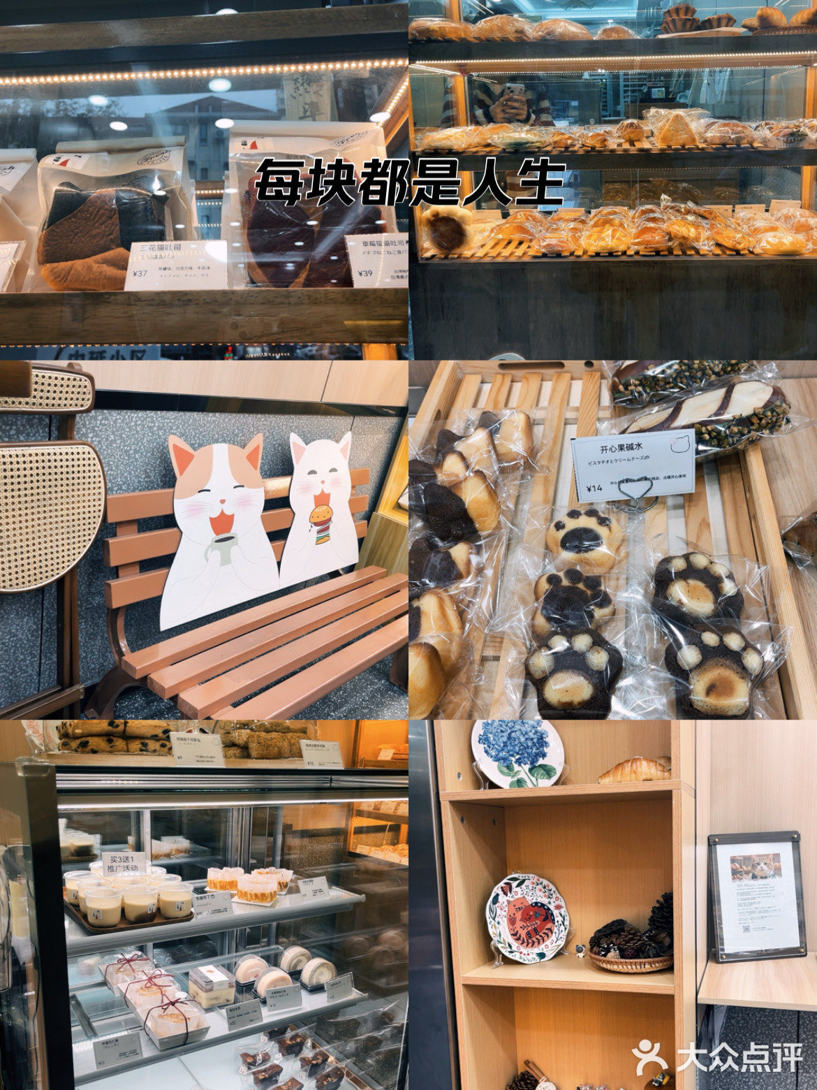 超可爱的猫猫吐司