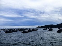 -幸福门