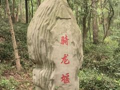 -上海佘山国家森林公园天马山园