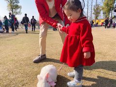 -上海长兴岛郊野公园